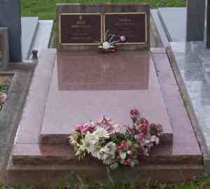 Full-size image