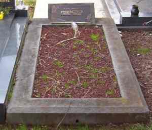 Full-size image