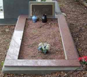 Full-size image