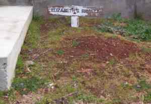 Full-size image