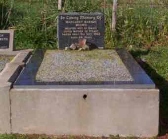 Full-size image