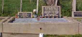 Full-size image