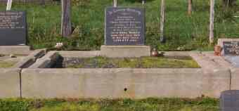 Full-size image