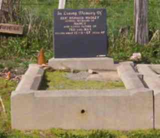 Full-size image