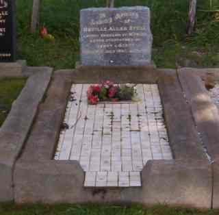 Full-size image