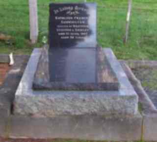 Full-size image