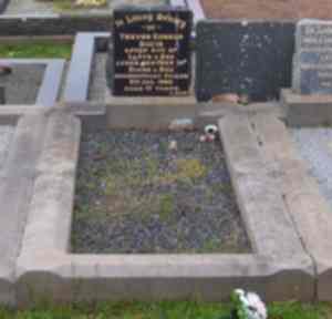 Full-size image