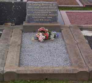 Full-size image
