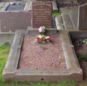 Full-size image