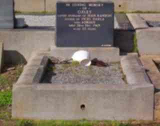 Full-size image