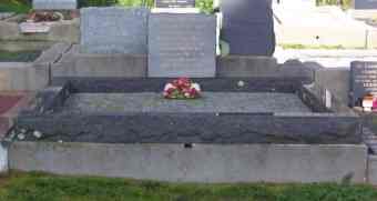 Full-size image
