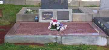 Full-size image