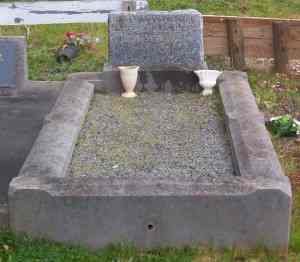 Full-size image
