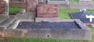Full-size image