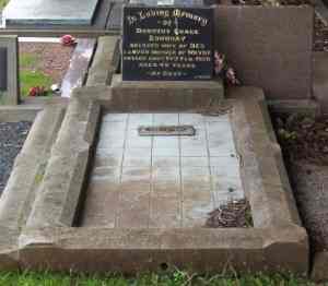 Full-size image