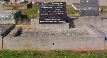 Full-size image