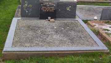 Full-size image