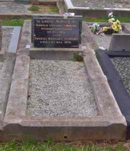 Full-size image