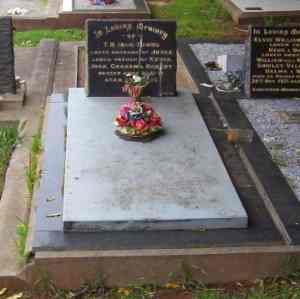 Full-size image