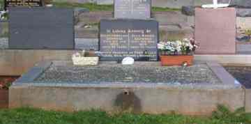Full-size image