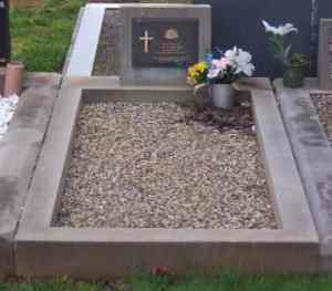 Full-size image