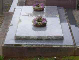 Full-size image