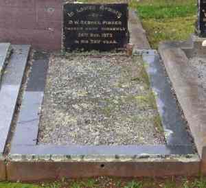 Full-size image