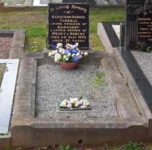 Full-size image