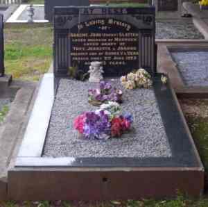 Full-size image