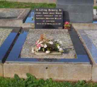 Full-size image