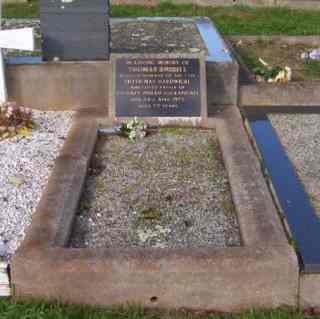 Full-size image