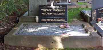 Full-size image