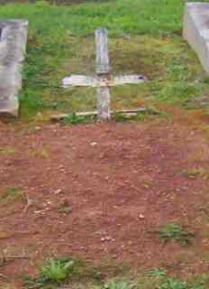 Full-size image