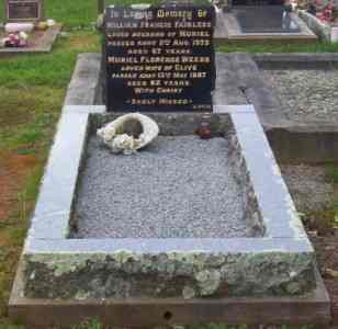 Full-size image