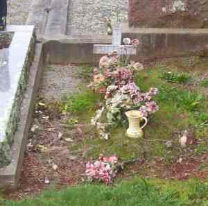 Full-size image