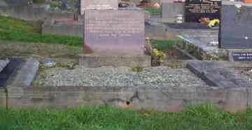 Full-size image