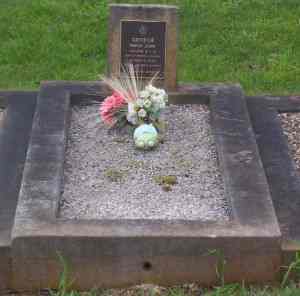 Full-size image