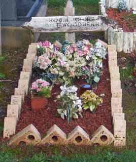 Full-size image