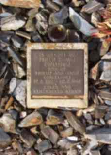 Full-size image