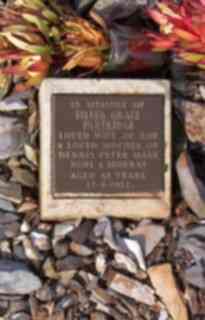 Full-size image