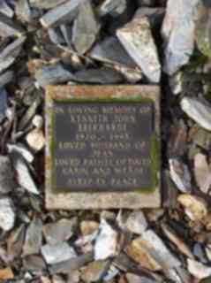 Full-size image