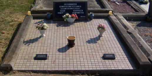 Full-size image