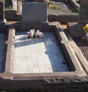 Full-size image