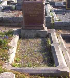 Full-size image