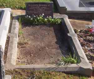 Full-size image