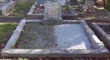 Full-size image