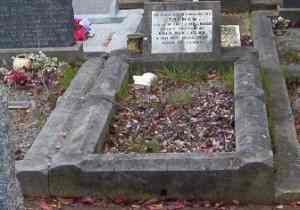 Full-size image