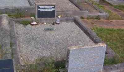 Full-size image