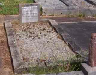 Full-size image