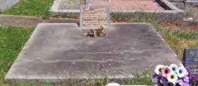 Full-size image